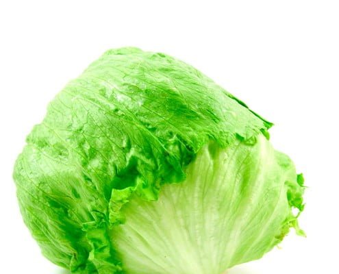 IJsbergsla - Iceberg lettuce